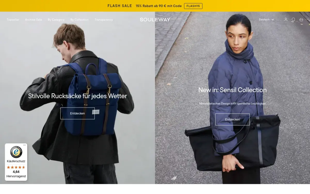 Screenshot der Website Souleway