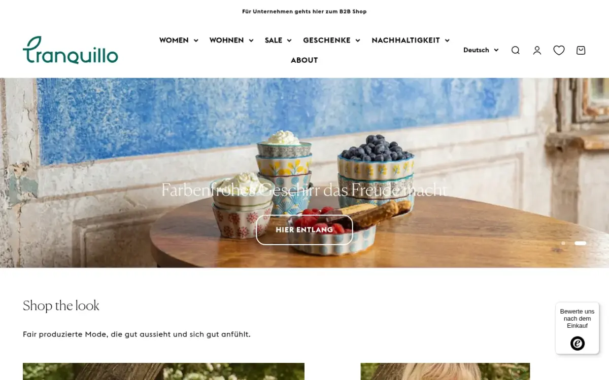 Screenshot der Website Tranquillo